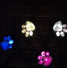 Luz solar de pata de oso