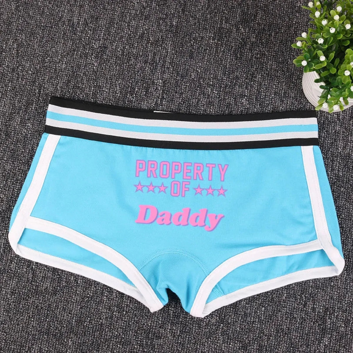 🎁 "PROPERTY OF DADDY" BoyShort - Cute Cotton Women's Underwear (100% off)