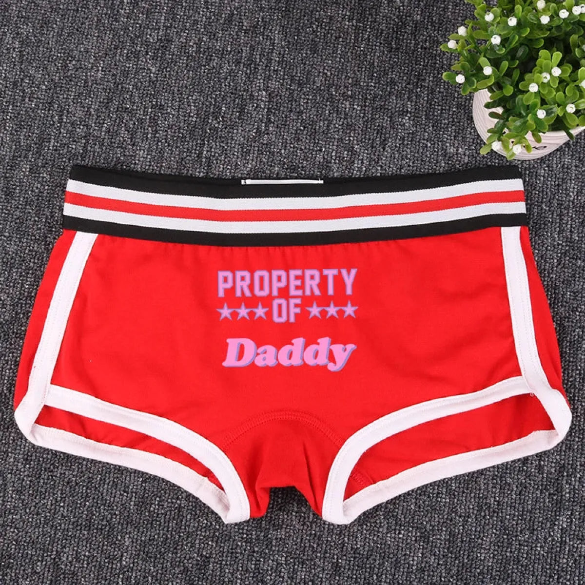 🎁 "PROPERTY OF DADDY" BoyShort - Cute Cotton Women's Underwear (100% off)