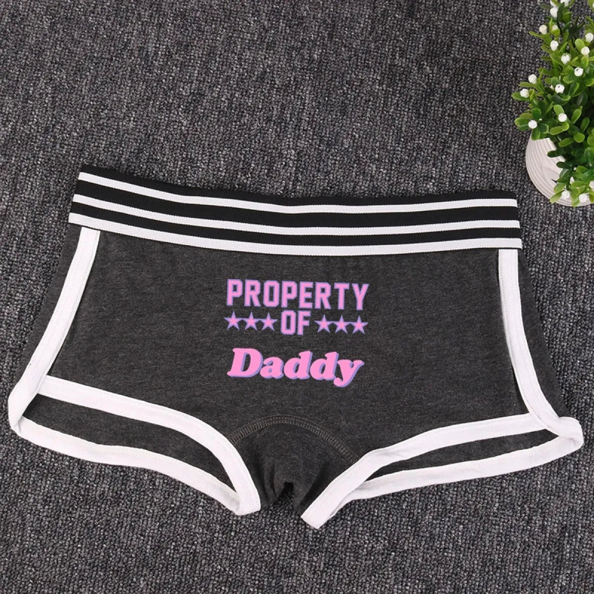 🎁 "PROPERTY OF DADDY" BoyShort - Cute Cotton Women's Underwear (100% off)